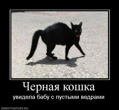 ���������� #1721543