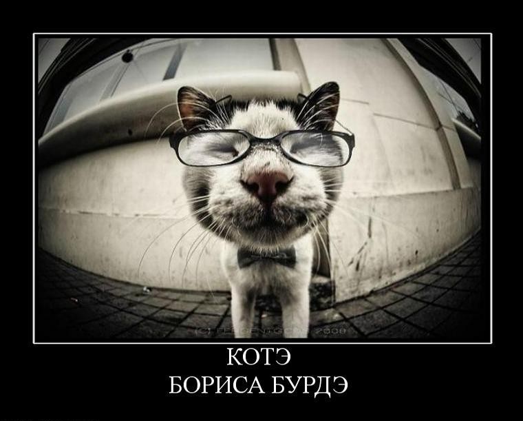 =)))