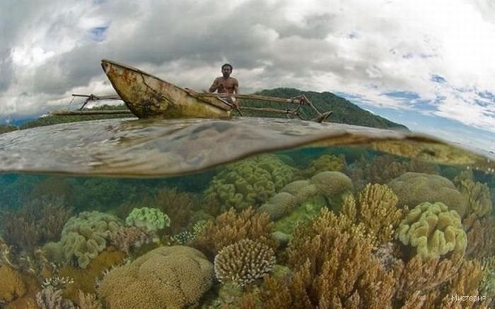 H2O
