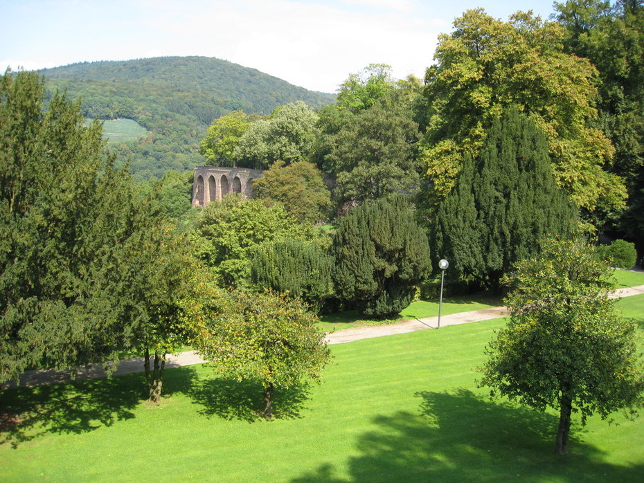 ���������� #1769747