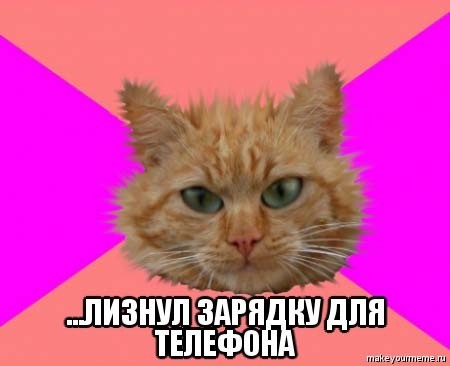 ���������� #1774695