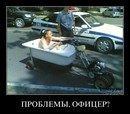 ���������� #1790835