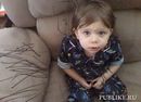 ���������� #1798159