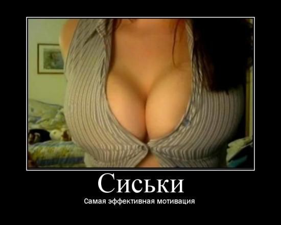 ���������� #1081536