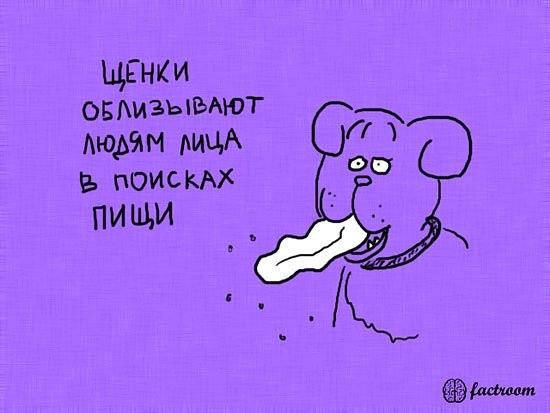���������� #1802046