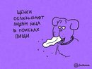 ���������� #1802046