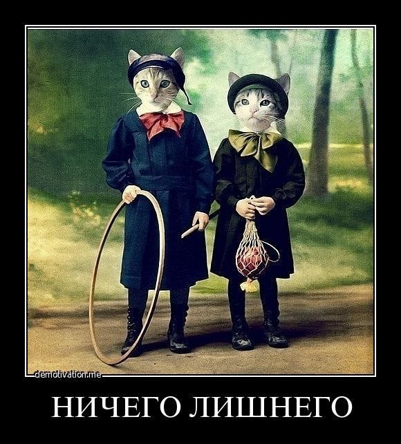 ���������� #1802049