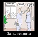 ���������� #1803191