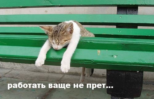 ���������� #1804474