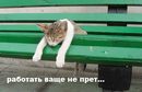 ���������� #1804474