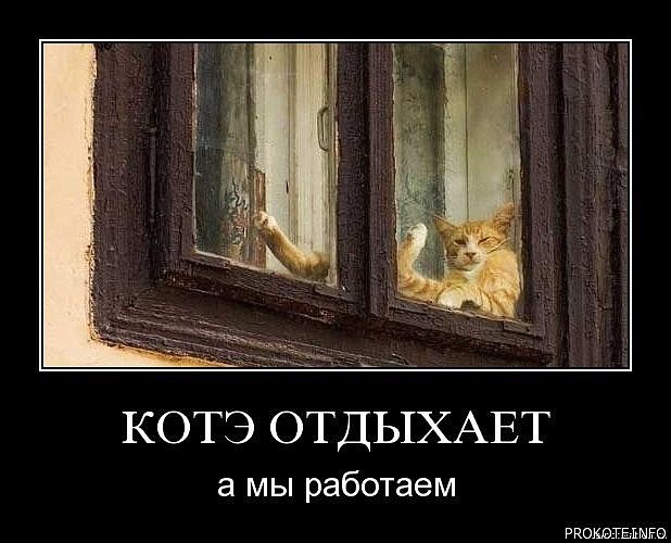 ���������� #1804482