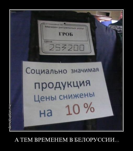 ���������� #1800593