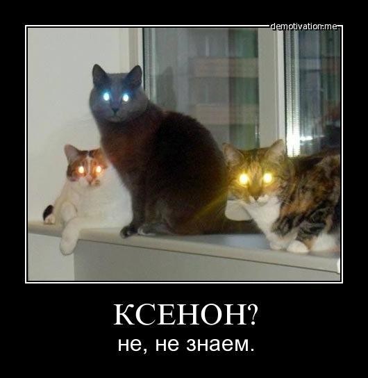���������� #1819323