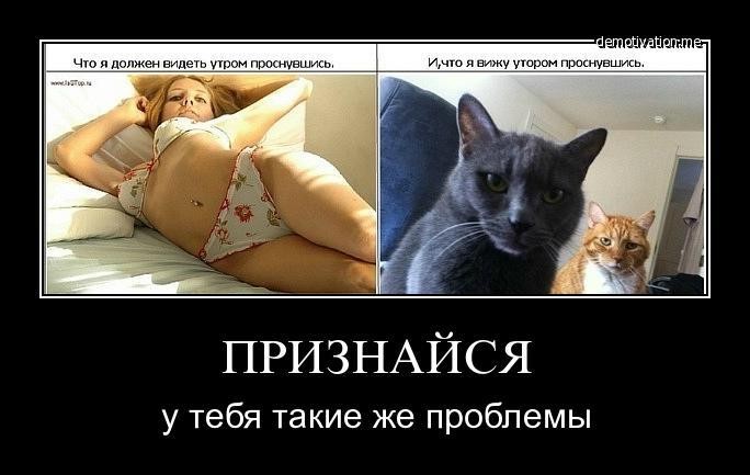 ���������� #1819326