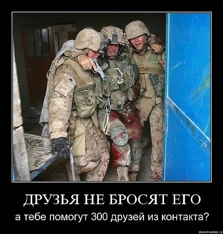���������� #1823342