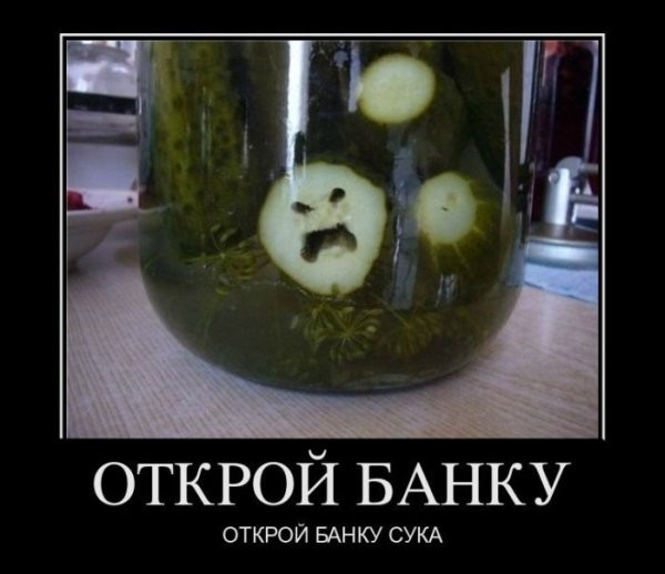���������� #1825730
