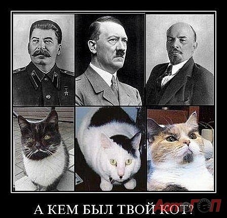 ���������� #1825733