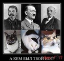 ���������� #1825733