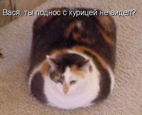 ���������� #1825808