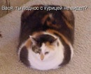���������� #1825808