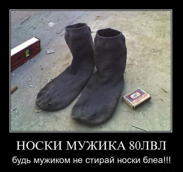 ���������� #1831865