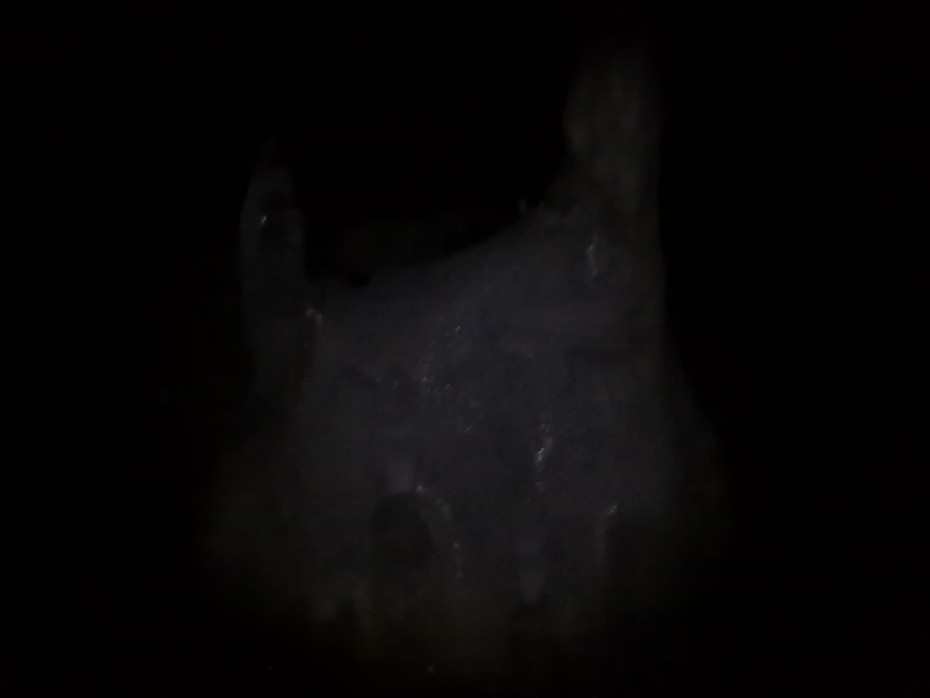 ���������� #1830254
