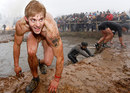 ���������� #1833775