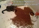 ���������� #1834203
