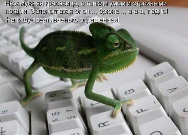���, �� �����...