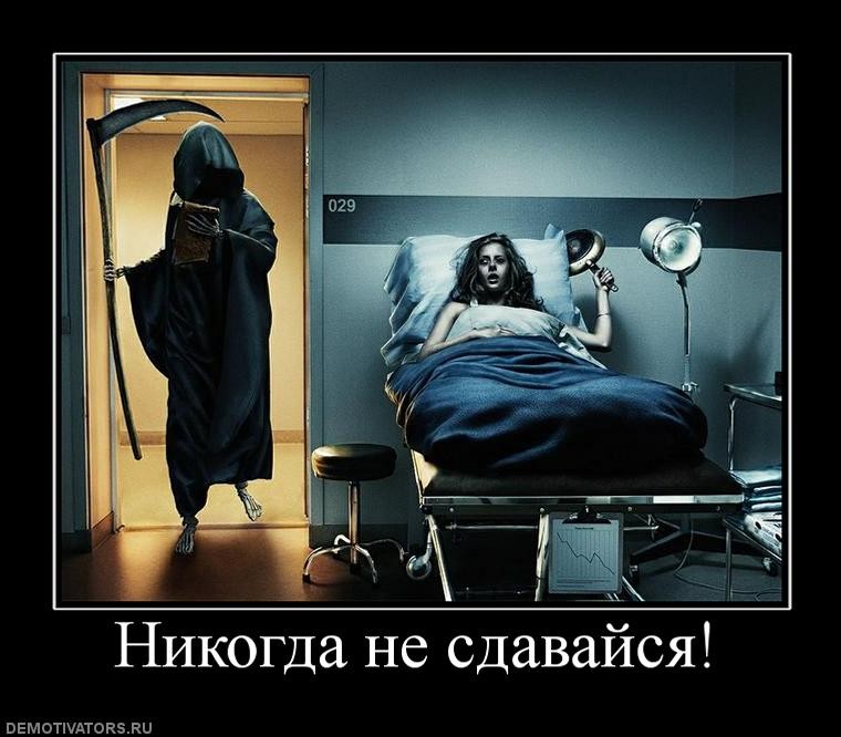 ���������� #1848300