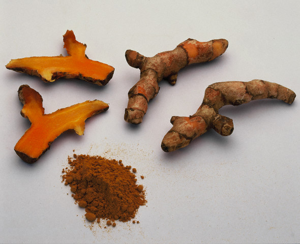 ������� ������� (Curcuma longa)