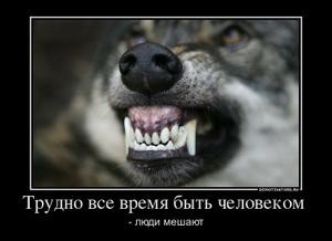 ���������� #1857579