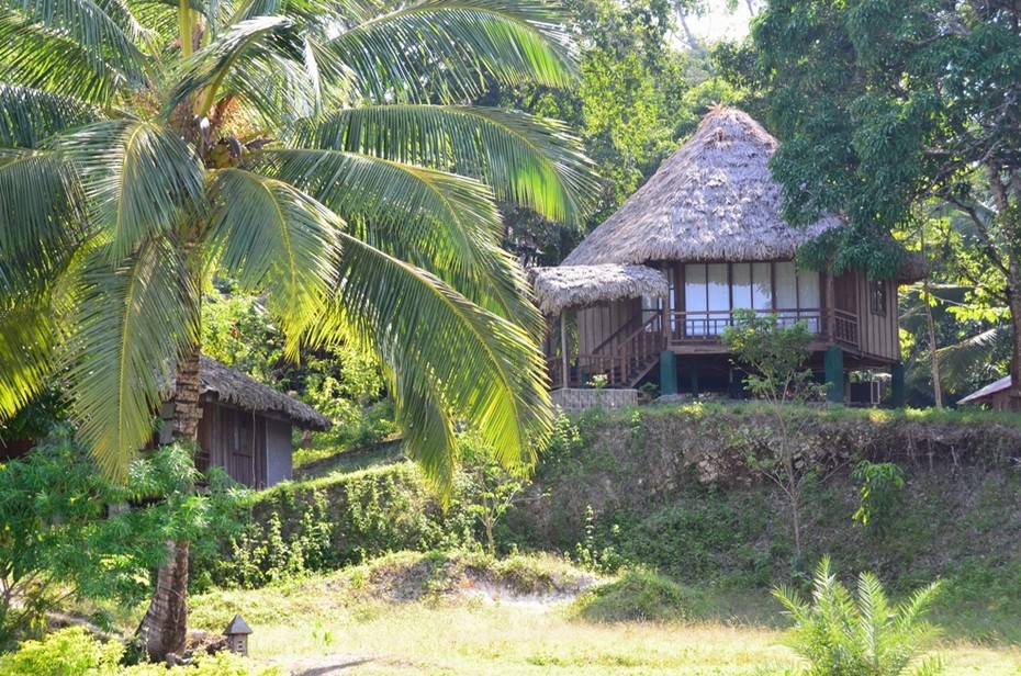���������� #1858269