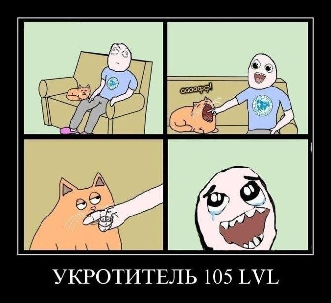 ���������� #1871329