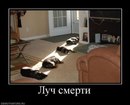 ���������� #1871360
