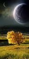 ���������� #1873856