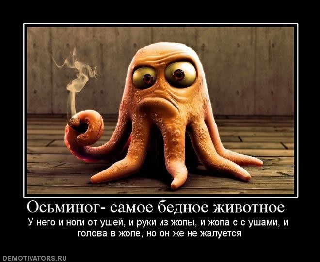 ���������� #1874504