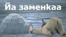 ���������� #1874509