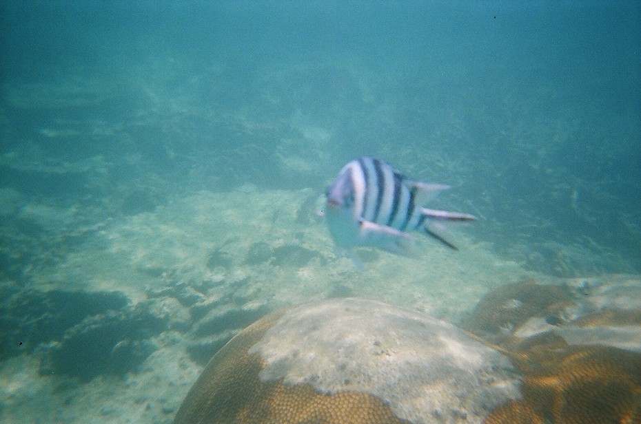 ���������� #1874792