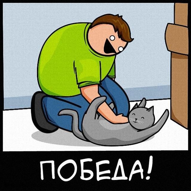 ���������� #1880281