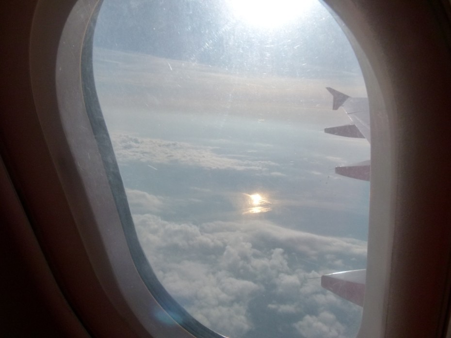 ���������� #1882425