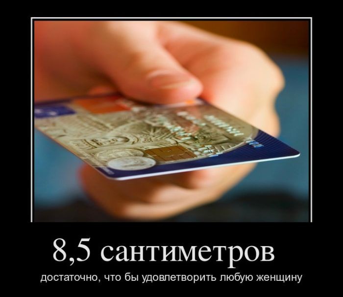 ���������� #1884241