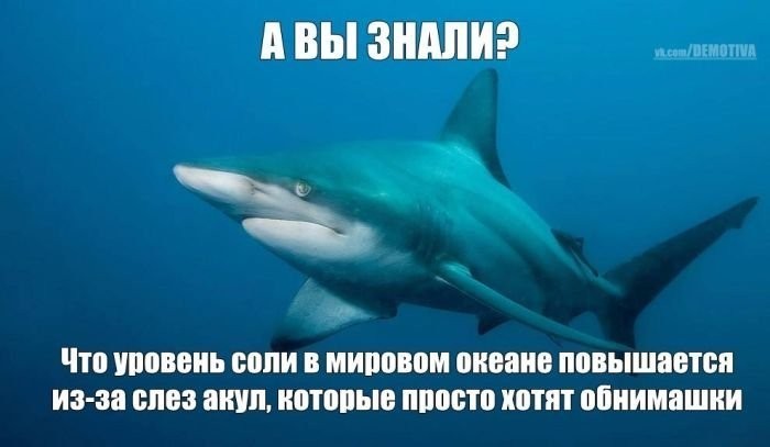 ���������� #1886014