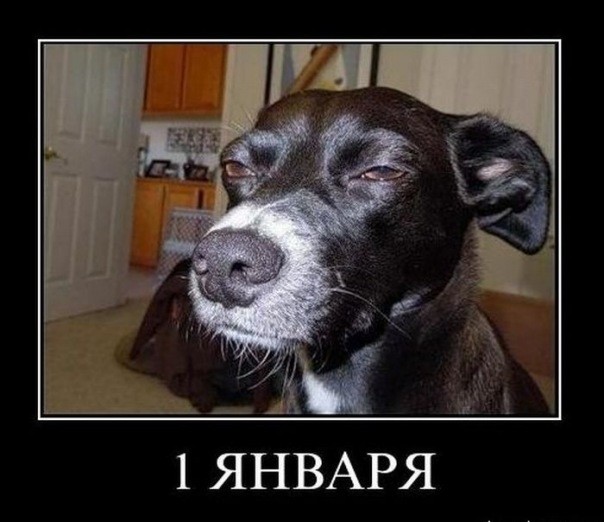 ���������� #1887403