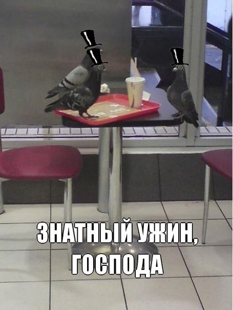 ���������� #1897446