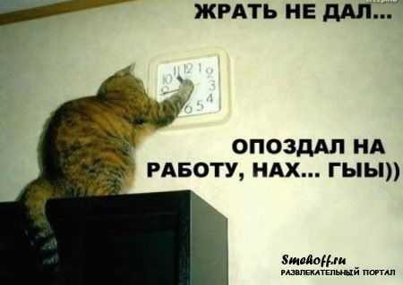 ���������� #1099510