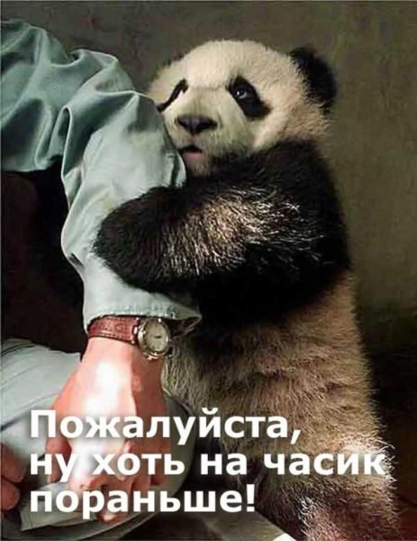 ���������� #1902353