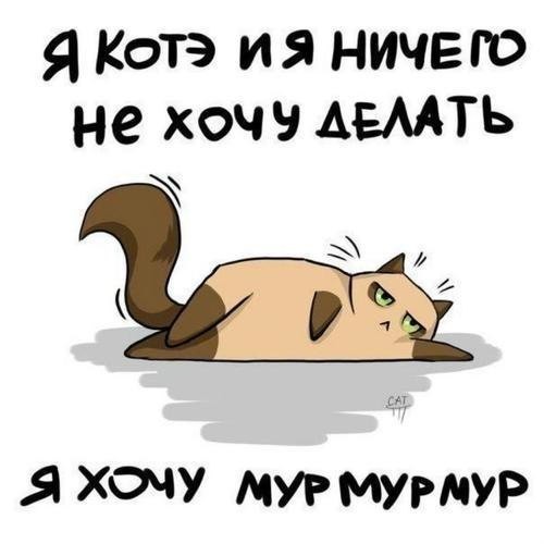 ���������� #1903712