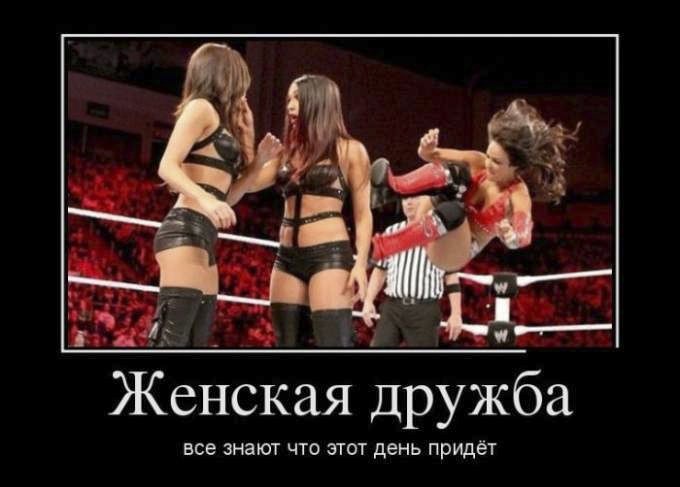 ���������� #1900851