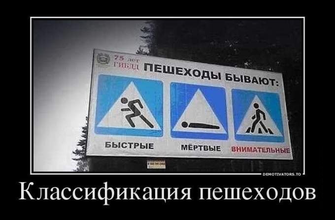 ���������� #1900853